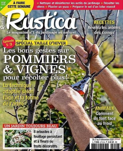 Rustica N2710 Du 3 au 9 Décembre 2021 Télécharger Des Magazines