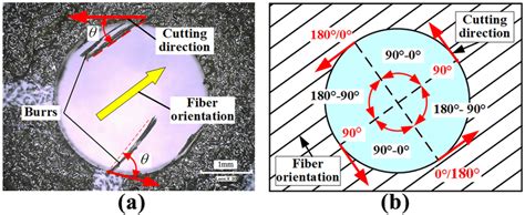 A Exit Burrs Morphology And Distribution And B Distribution Of Fiber