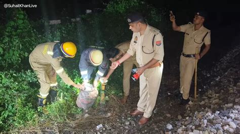 MP: Attempt to derail special military train foiled, detonators found ...