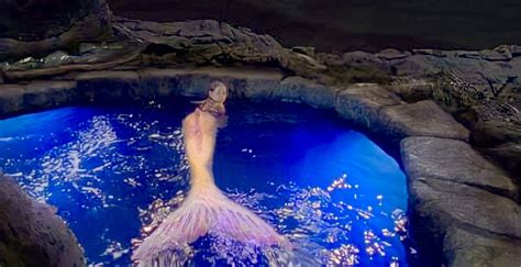 Mermaids Caught On Camera In Real Life Artofit