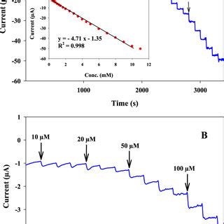 A Amperometric Response Of The MnO2 CILE Upon Successive Injection Of