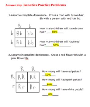 Genetics Practice Problems Simple Worksheets