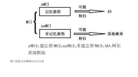 阿尔茨海默病源性轻度认知障碍的临床表现及诊断 阿尔茨海默病