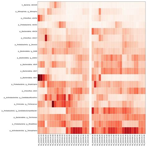 Figure S8 Heatmap Of The 20 Most Abundant Genera In R1 And R2 Over