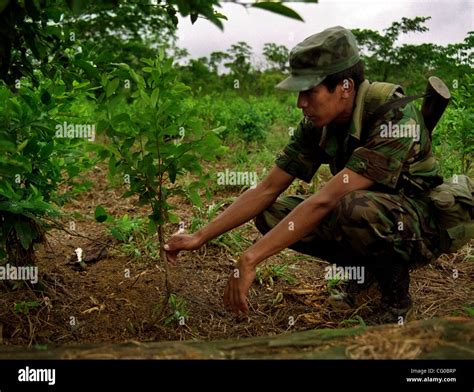 Umopar Fotograf As E Im Genes De Alta Resoluci N Alamy