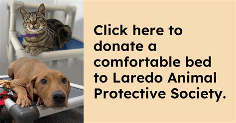 Donate To Laredo Animal Protective Society Kuranda Shelterbeds