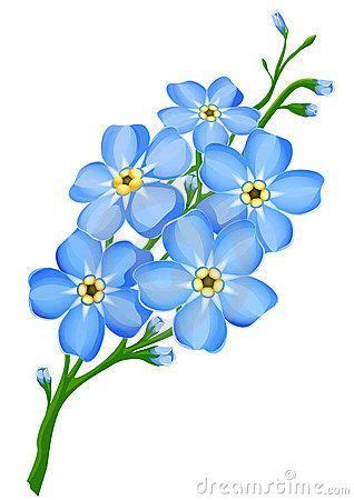 Myosotis Flower Drawing Flower Art Painting Flower Painting