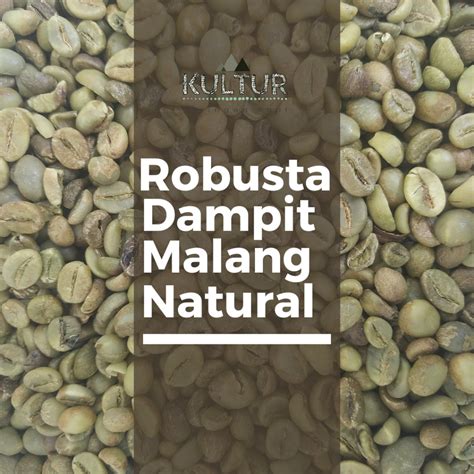 Jual Green Bean Robusta Dampit Malang Natural Biji Kopi Mentah Netto