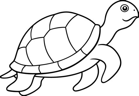 hand drawn turtle outline illustration 48692207 Vector Art at Vecteezy