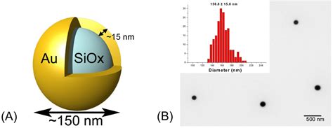 Evaluation Of The Toxicity Of Intravenous Delivery Of Auroshell