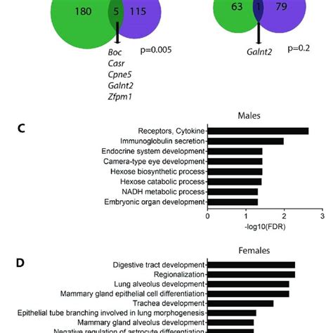 Sex Specificity Of Pb Induced Changes In Dna Methylation A B Venn