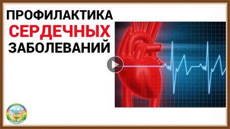 ПРОФИЛАКТИКА СЕРДЕЧНЫХ ЗАБОЛЕВАНИЙ - YouTube