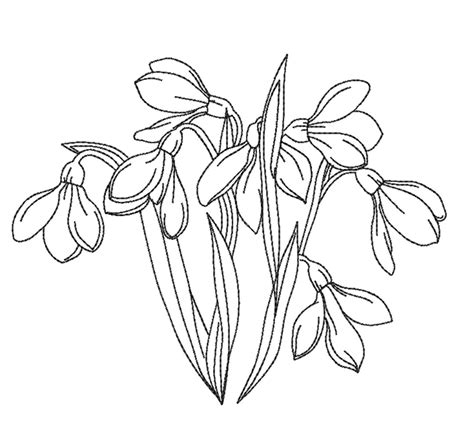 Snowdrop Flower Machine Embroidery Design , 4 Sizes, Instant Download. - Etsy