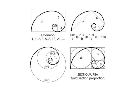 How To Use The Golden Ratio In Graphic Design Graphic Design