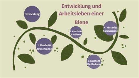 Entwicklung Und Arbeitsleben Einer Biene By Rita Chafki On Prezi