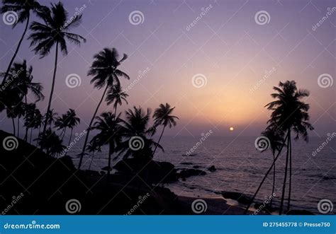 India Goa Landscape Beach Stock Photo Image Of 1996 275455778