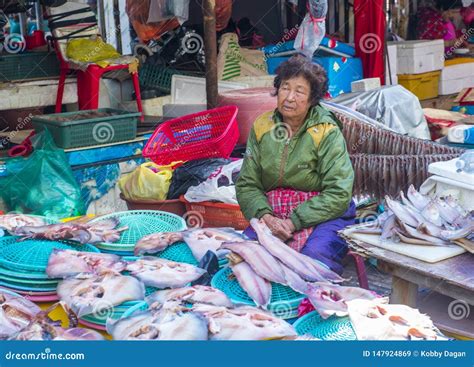 Mercado De Peixes De Busan Jagalchi Imagem De Stock Editorial Imagem