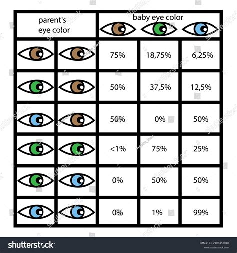 Eye Color Chart Genetics