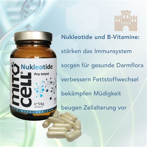 Nukleotide Kaufen Mitocell Pro Intest Kapseln Naturburg