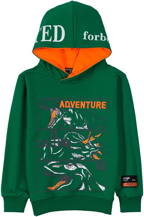 Толстовки с капюшоном для мальчиков "Adventure green" (BZ359) купить ...
