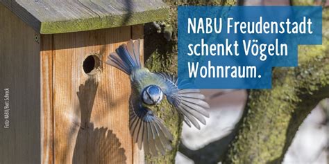 NABU Baden Württemb on Twitter Nistkästen bei Freudenstadt Der