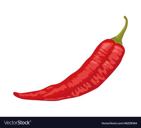 Jalapeno Chilli Hot Vegetable Royalty Free Vector Image