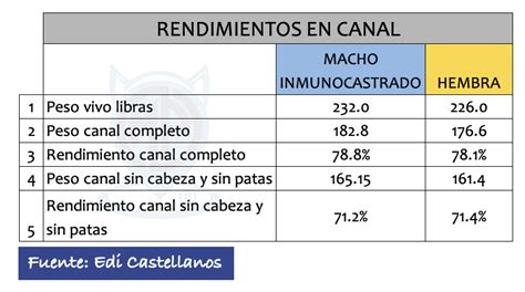 Rendimiento De Peso Vivo A Peso Canal De Un Cerdo Finalizado