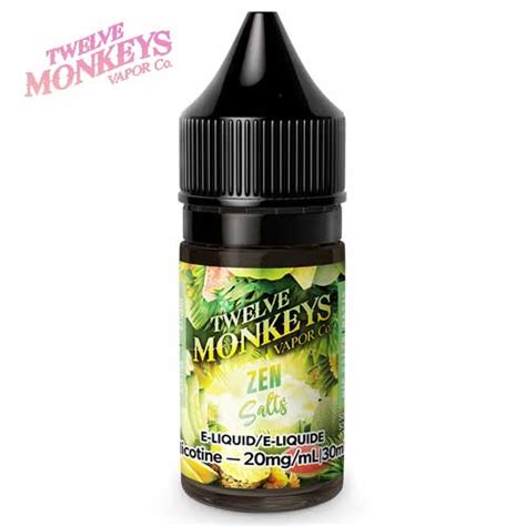 Zen Salts 30ml Oasis Series By Twelve Monkeys Jean Cloud Vape