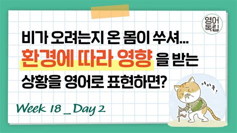 비가 오려는지 온몸이 쑤시네 환경에 따라 영향을 받는 상황을 영어로 [영어독립 365 W18d2] Youtube