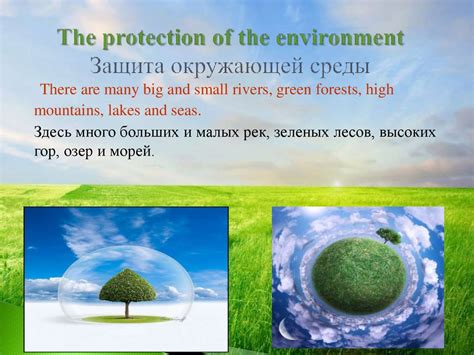 Меры по защите окружающей среды - презентация онлайн