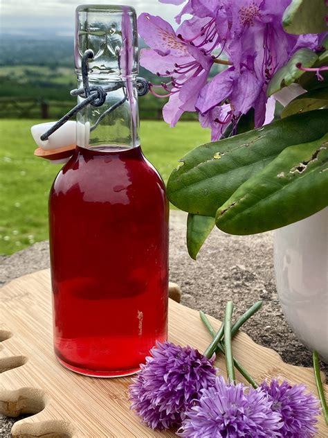 Chive Blossom Vinegar