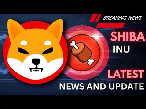 India Most Traded Crypto Currency Shiba Inu Coin Outshines Btc Eth