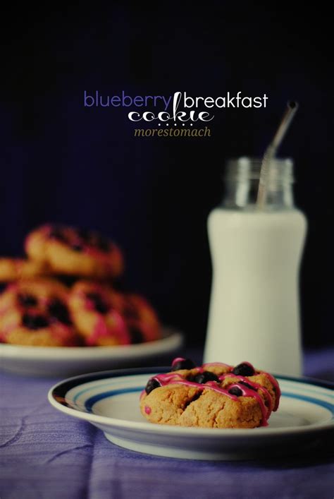 Blueberry Breakfast Cookie Lan Flickr