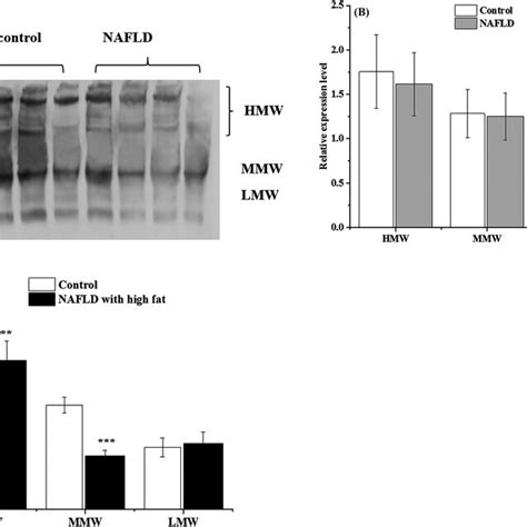 Relative Expression Levels Of LMW MMW And HMW APN Isoforms A