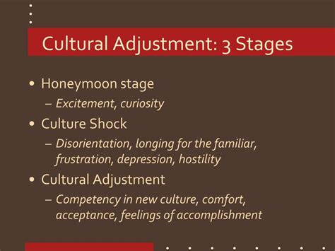 Ppt Us Cultural Values And Cultural Adjustment Powerpoint