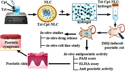 Tazarotene Calcipotriol Loaded Nanostructured Lipid Carrier Enriched