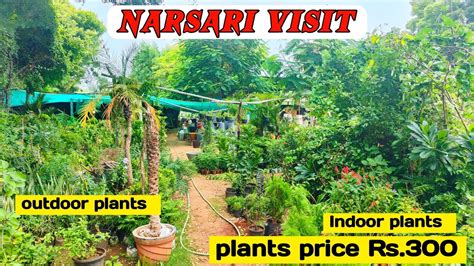 Plant Nursery Visit Plant Price In Nursery Plant Price Rs