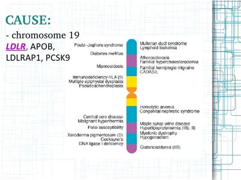 Familial hypercholesterolemia