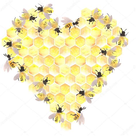 El Panal De Abeja Con La Miel En La Hexagonina La Forma Del Coraz N