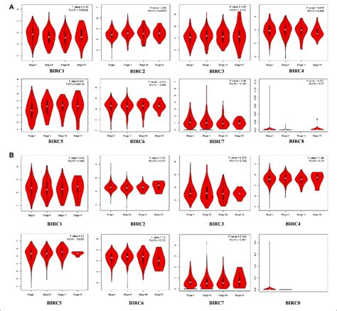 Mrna Expression Of Iaps In Different Stages Of Nsclc A Correlation