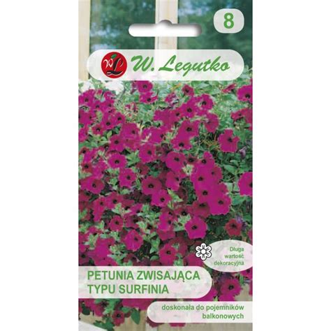 Petunia ogrodowa Rubina F2 o pędach zwisających purpurowo fioletowa 0