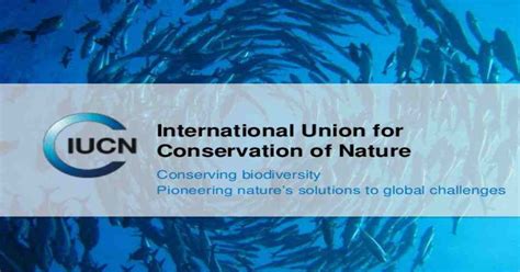 Energy And Power Magazine Iucn Standard To Boost Impact Of Nature Based