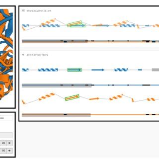 Example of the sequence alignment visualization | Download Scientific Diagram