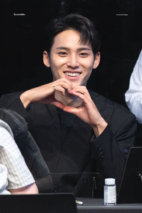 Irresistible On Twitter Mingyu Seventeen Mingyu Mingyu Wonwoo