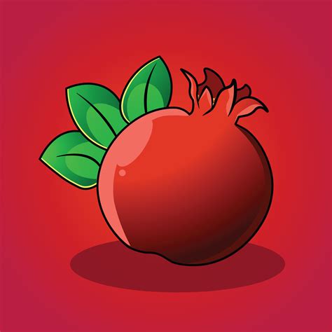 Pomegranate Vector Illustration 27578572 Vector Art At Vecteezy