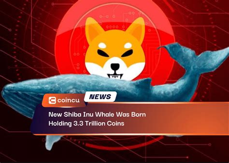 COINCU On Binance Feed New Shiba Inu Whale Was Born Holding 3 3