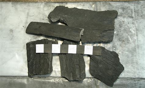 Review Of Fire King Lump Charcoal Naked Whiz Ceramic Charcoal Cooking