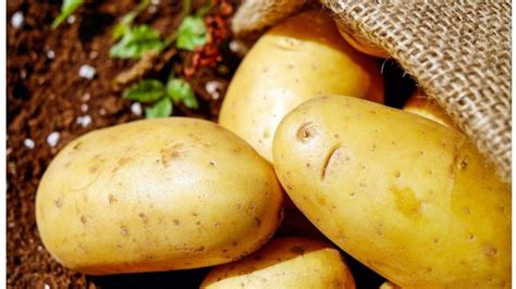Ето съвети за ранни картофи за да се радваме на изобилна и здрава реколта