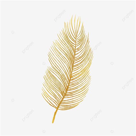 Golden Feathers PNG Transparent Stylish Golden Feather Texture