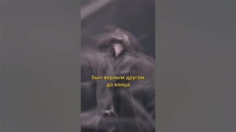 Песня о героях из Гарри Поттера - YouTube